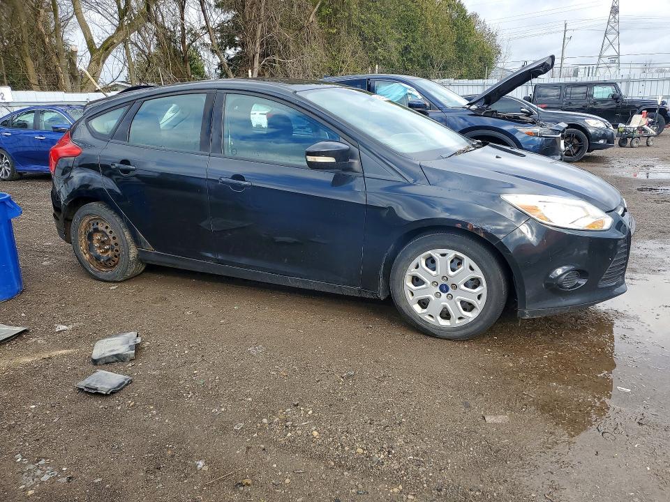 Aukcja sprzedaży 2013 Ford Focus, vin: 1FADP3K2XDL293042, numer aukcji: 49281686