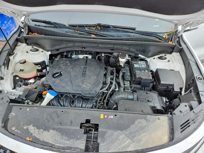 Продаж на аукціоні авто 2023 Kia Sorento, vin: 5XYRL4LC4PG164383, номер лоту: 47629556