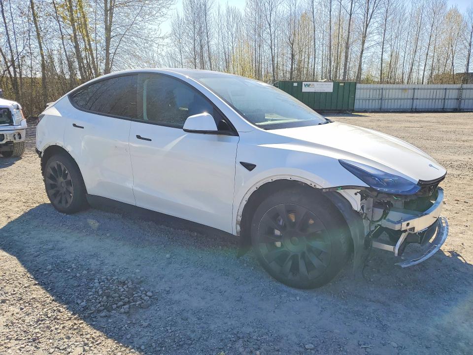 Продажа на аукционе авто 2024 Tesla Model Y, vin: 7SAYGDEE4RF126583, номер лота: 48715706