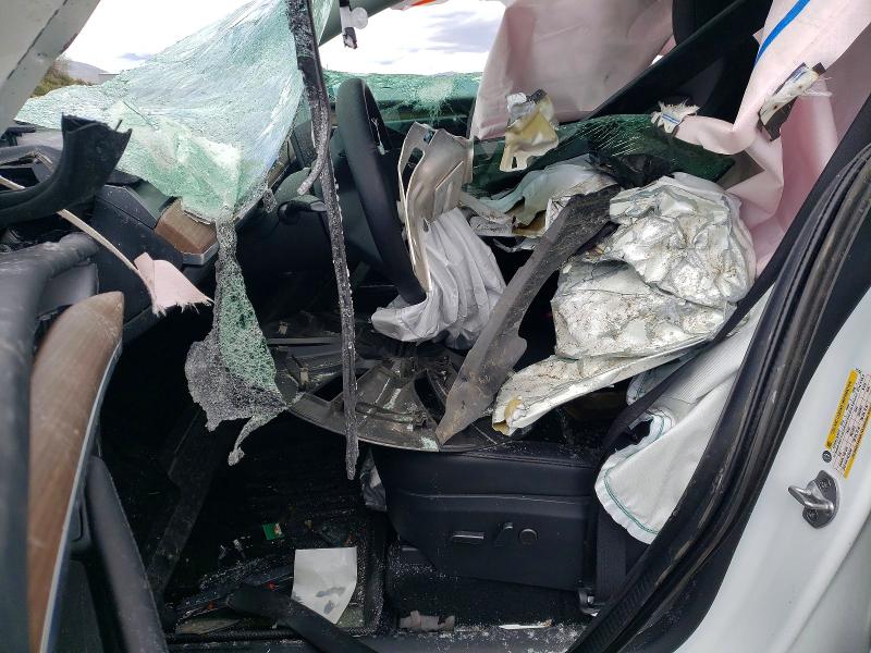 49959426 :رقم المزاد ، 7SAYGDEE6PF711792 vin ، 2023 Tesla Model Y مزاد بيع