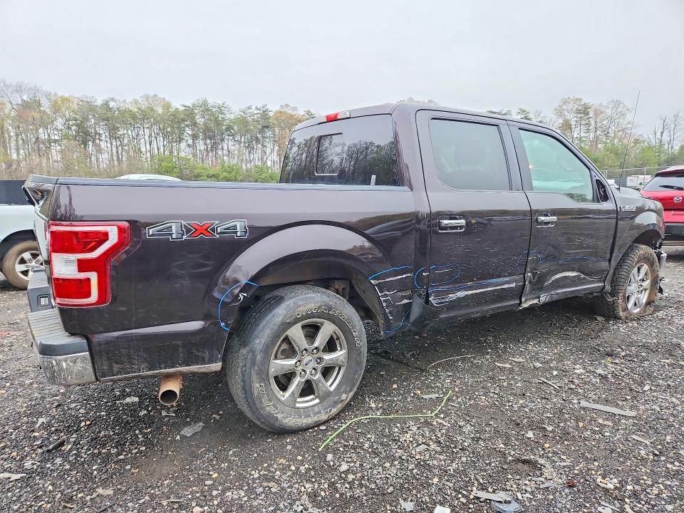 2019 Ford F150 მანქანა იყიდება აუქციონზე, vin: 1FTEW1EP4KFD31034, აუქციონის ნომერი: 48633666