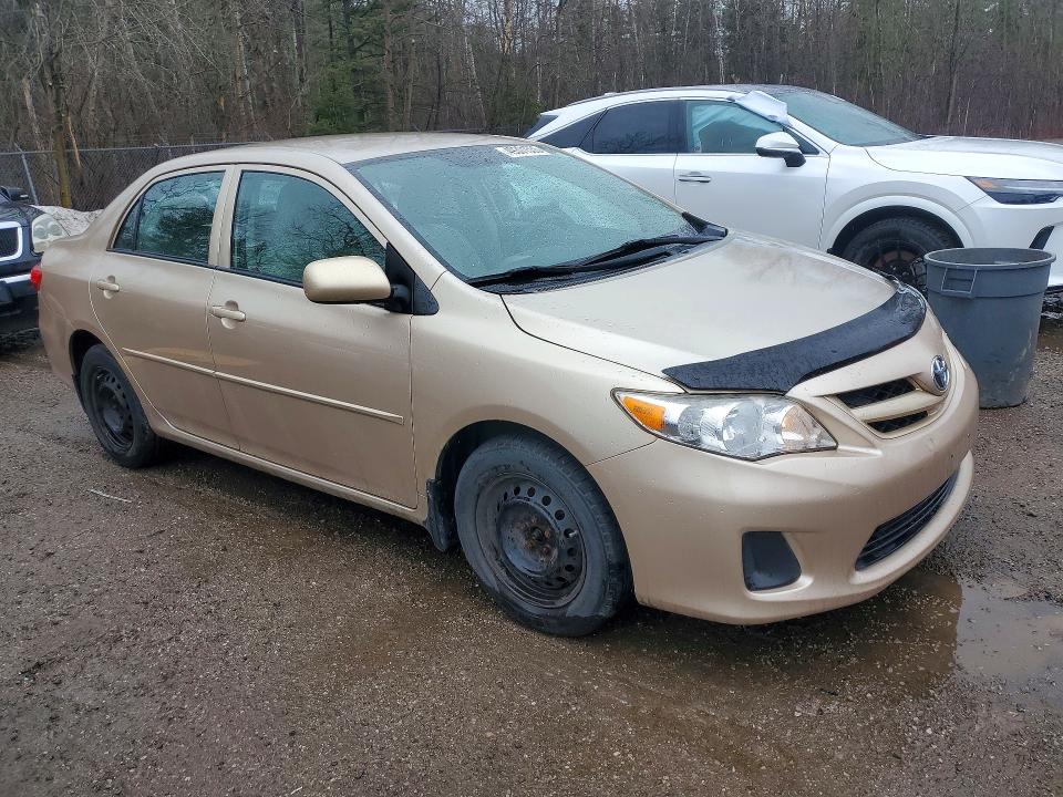 49301536 :رقم المزاد ، 2T1BU4EE6BC709503 vin ، 2011 Toyota Corolla مزاد بيع