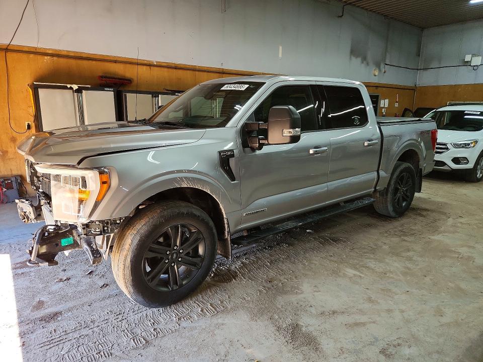 Auction sale of the 2021 Ford F150, vin: 1FTFW1ED8MFA92522, lot number: 50434686
