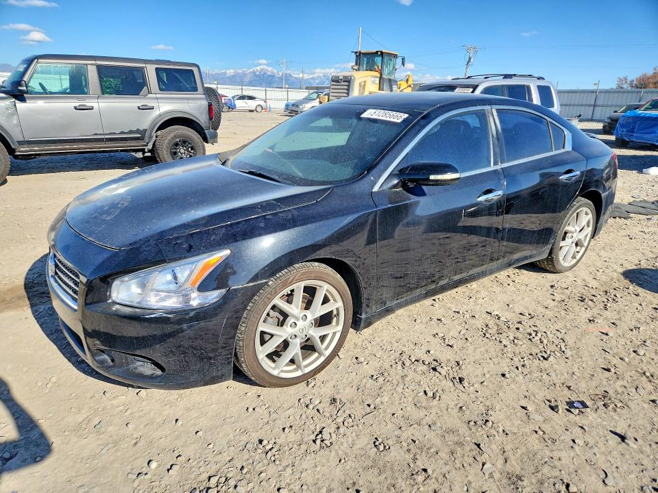 Auction sale of the 2009 Nissan Maxima, vin: 1N4AA51E99C820863, lot number: 51285666