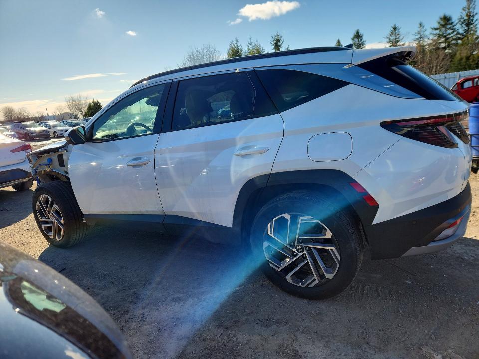 Продажа на аукционе авто 2025 Hyundai Tucson Hybrid, vin: KM8JCDD12SU254614, номер лота: 50068076