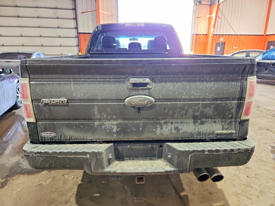 2011 Ford F150 მანქანა იყიდება აუქციონზე, vin: 1FTFX1EF7BFC21880, აუქციონის ნომერი: 48360146