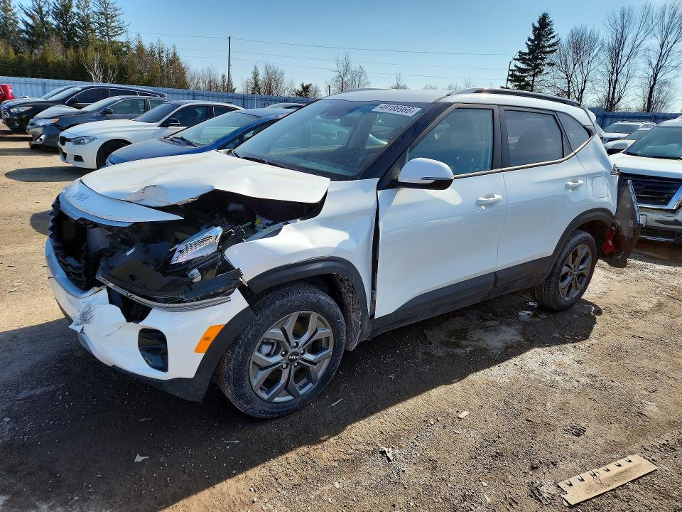 Auction sale of the 2025 Kia Seltos, vin: KNDEPCAA8S7818662, lot number: 49186966