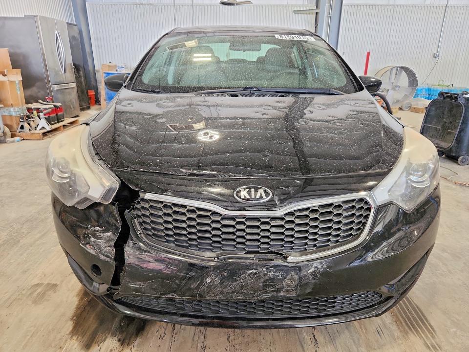 Продаж на аукціоні авто 2016 Kia Forte, vin: KNAFK4A63G5524039, номер лоту: 51591016