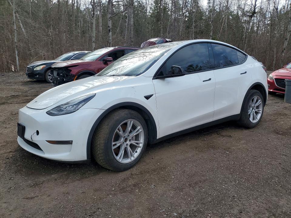 50384086 :رقم المزاد ، 7SAYGDEE6NF428502 vin ، 2022 Tesla Model Y مزاد بيع