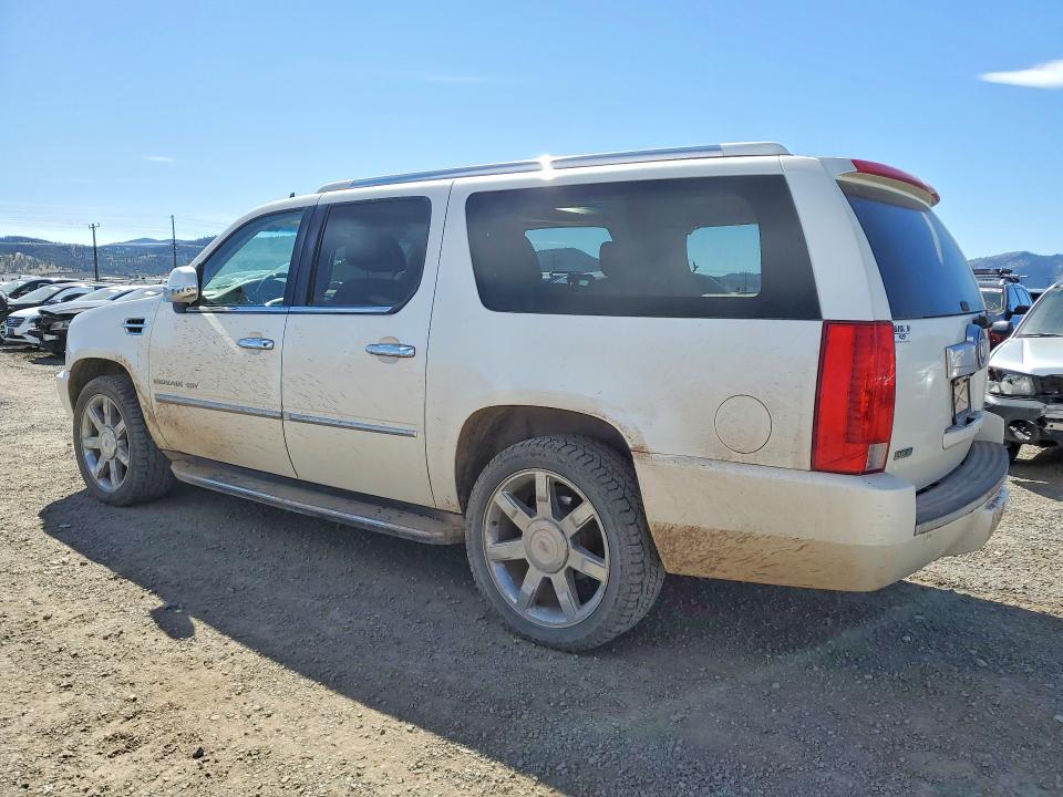 Продаж на аукціоні авто 2011 Cadillac Escalade, vin: 1GYS4HEF1BR100416, номер лоту: 49307276