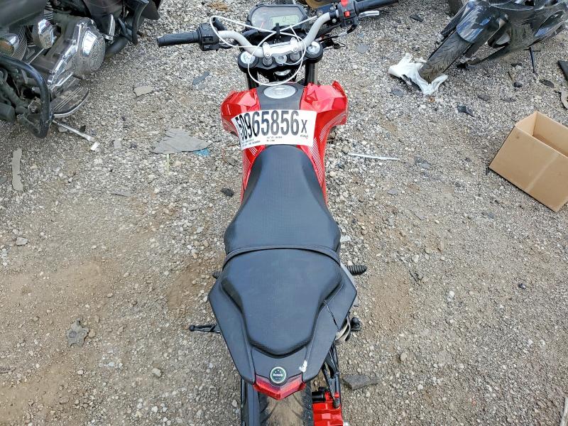 50965856 :رقم المزاد ، LBBPEA038MBC23698 vin ، 2021 Benelli Tnt Series مزاد بيع