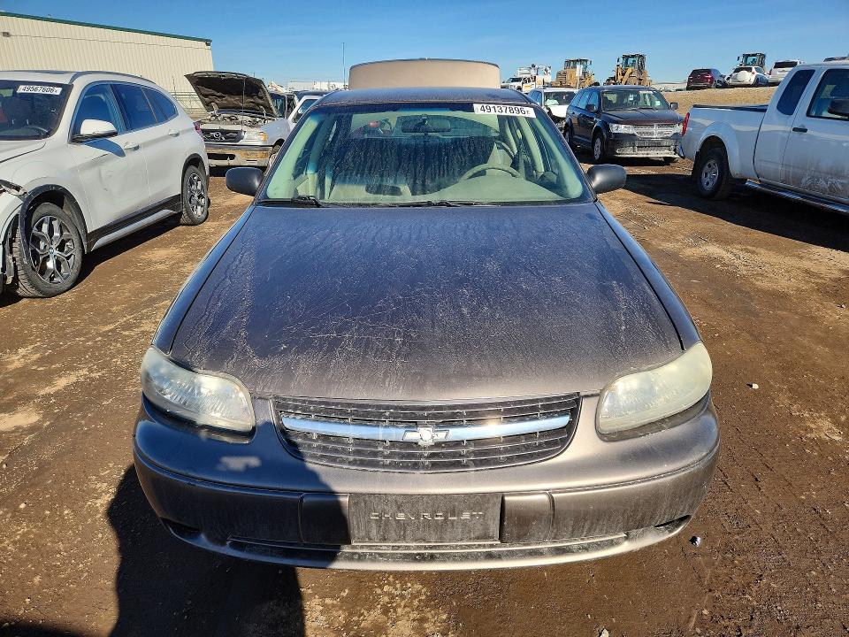 49137896 :رقم المزاد ، 1G1ND52J42M598336 vin ، 2002 Chev Malibu مزاد بيع