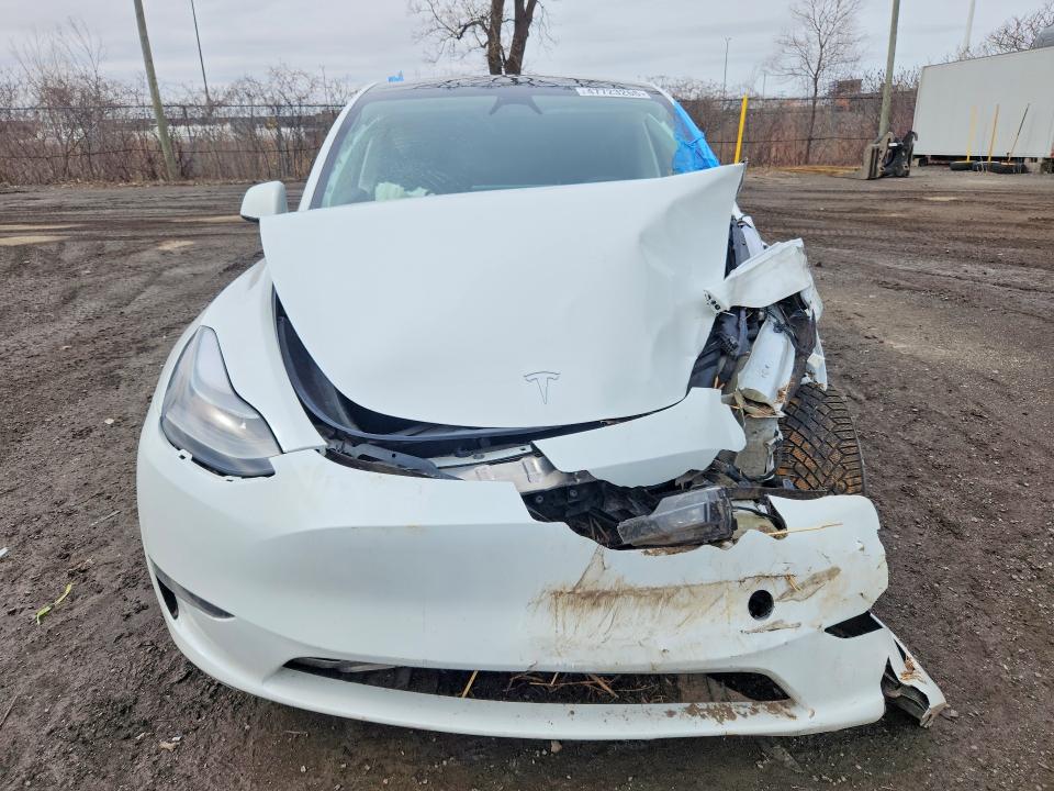 Продаж на аукціоні авто 2024 Tesla Model Y, vin: 7SAYGDEE3RF109676, номер лоту: 47723266