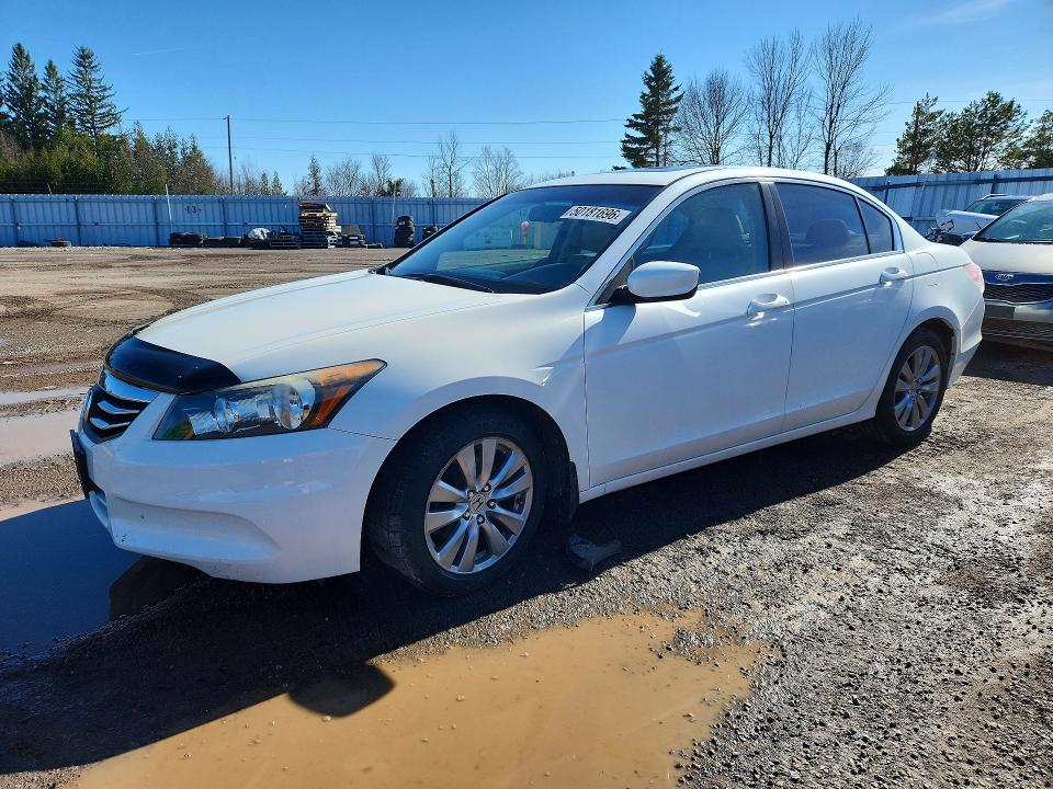 Auction sale of the 2011 Honda Accord, vin: 1HGCP2F85BA804455, lot number: 50181696