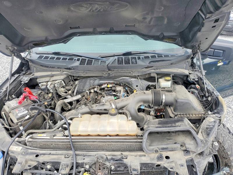 2021 Ford F150 მანქანა იყიდება აუქციონზე, vin: 1FTEW1CP3MKD12438, აუქციონის ნომერი: 50154896