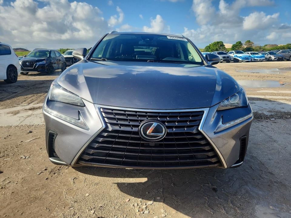 2020 Lexus Nx 300 მანქანა იყიდება აუქციონზე, vin: JTJAARBZ8L2167293, აუქციონის ნომერი: 49442606
