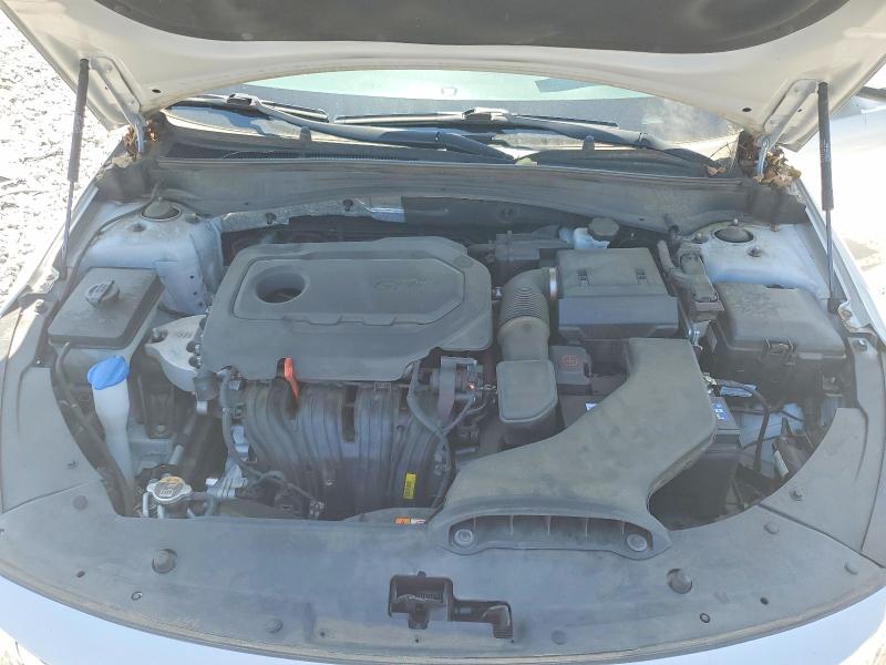 49418616 :رقم المزاد ، 5XXGT4L35KG345156 vin ، 2019 Kia Optima مزاد بيع