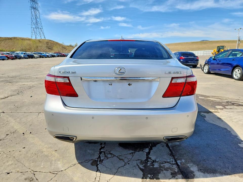 2007 Lexus Ls მანქანა იყიდება აუქციონზე, vin: JTHBL46F875033813, აუქციონის ნომერი: 50492756