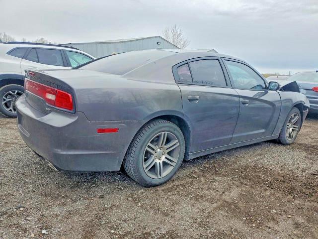 Aukcja sprzedaży 2014 Dodge Charger, vin: 2C3CDXHG5EH366104, numer aukcji: 51689816