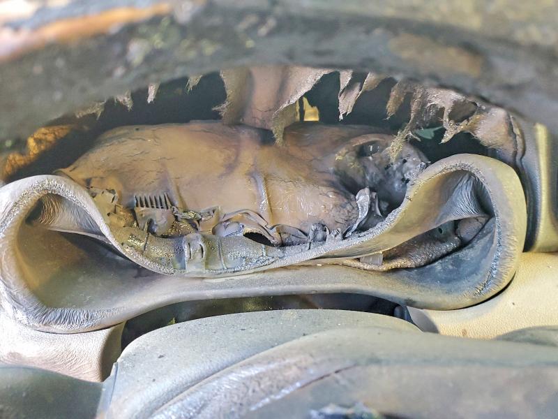 2022 Kia Sportage მანქანა იყიდება აუქციონზე, vin: KNDPM3AC5N7969210, აუქციონის ნომერი: 48120486