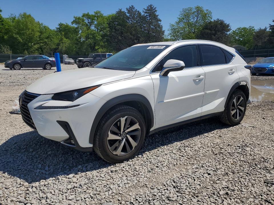 50613906 :رقم المزاد ، JTJBARBZ0J2157083 vin ، 2018 Lexus Nx 300 مزاد بيع