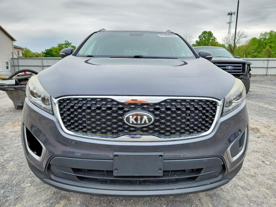 51404616 :رقم المزاد ، 5XYPG4A55GG103382 vin ، 2016 Kia Sorento مزاد بيع