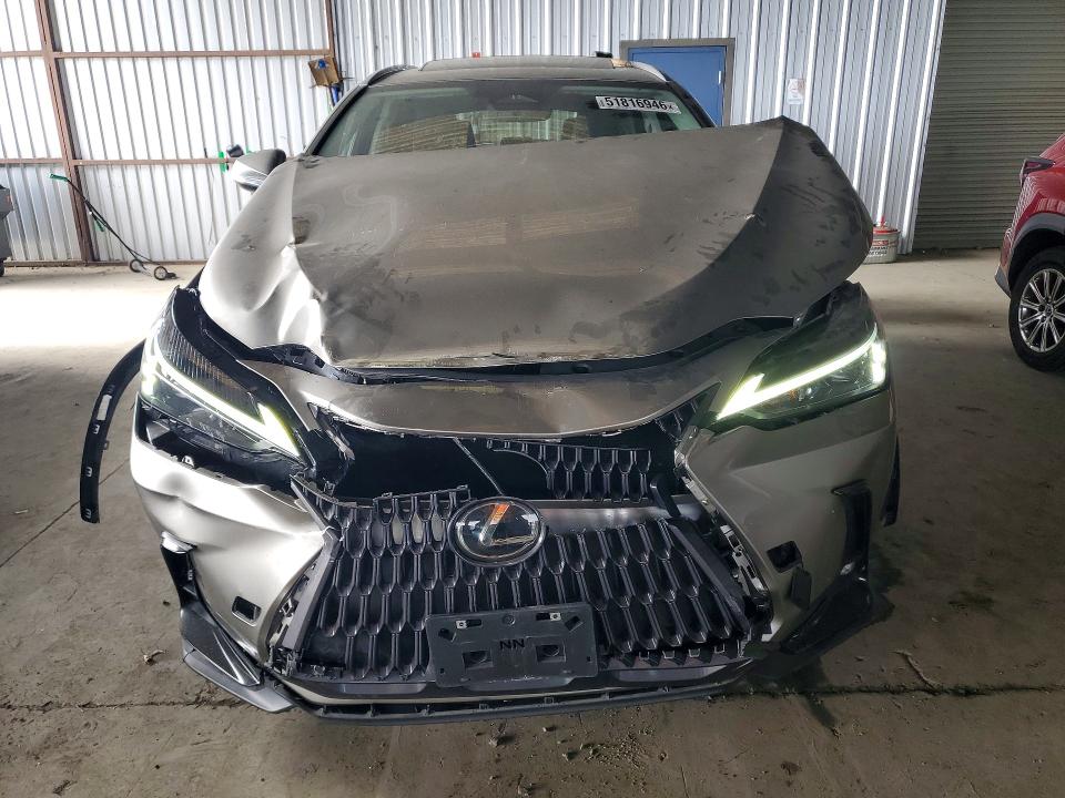 Продажа на аукционе авто 2023 Lexus Nx, vin: 2T2AGCEZ9PC020381, номер лота: 51816946