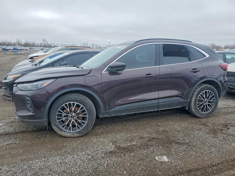 2023 Ford Escape მანქანა იყიდება აუქციონზე, vin: 1FMCU0E13PUA25962, აუქციონის ნომერი: 79733865