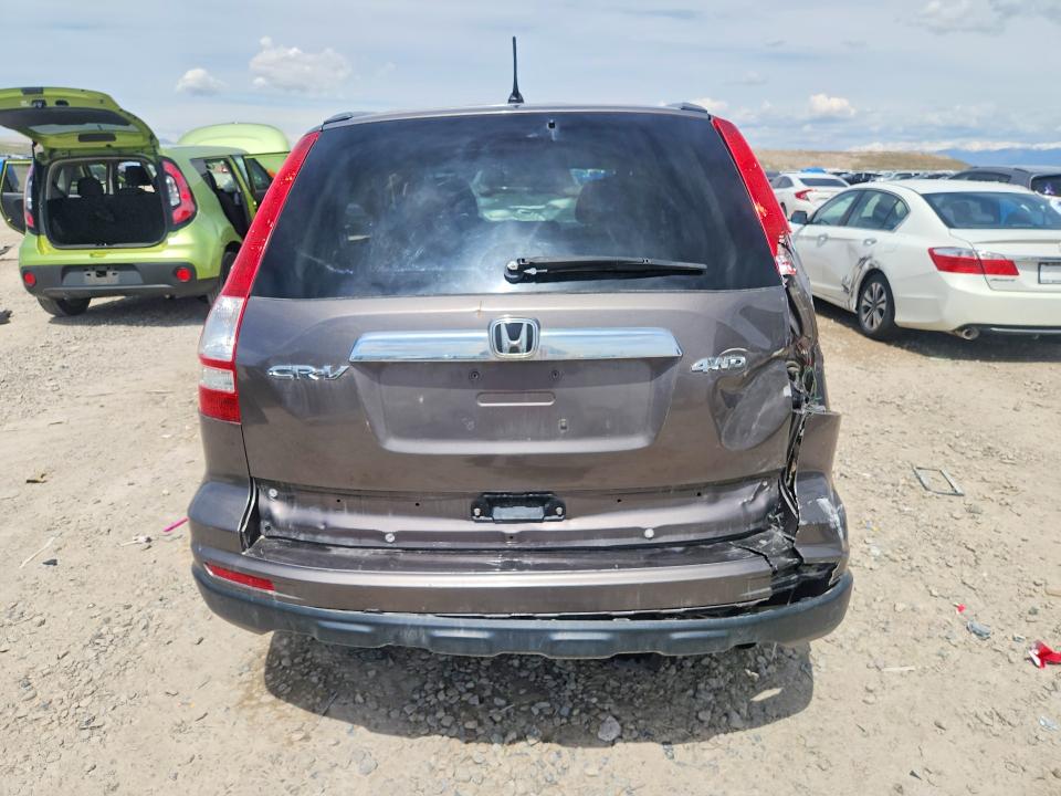 Продажа на аукционе авто 2010 Honda Cr-v, vin: 5J6RE4H52AL037965, номер лота: 51516686