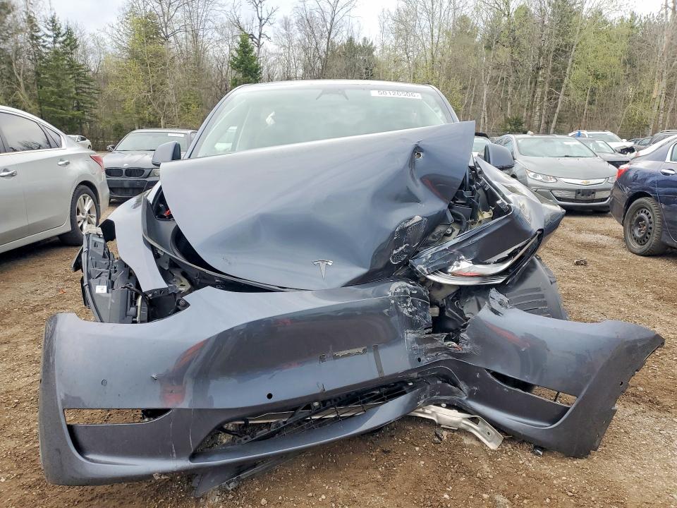 2022 Tesla Model Y მანქანა იყიდება აუქციონზე, vin: 7SAYGDEE4NF504945, აუქციონის ნომერი: 50126506