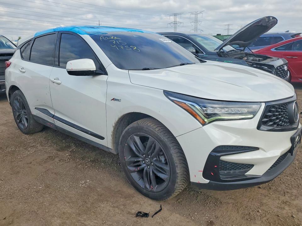 50484706 :رقم المزاد ، 5J8TC2H6XKL005797 vin ، 2019 Acura Rdx مزاد بيع