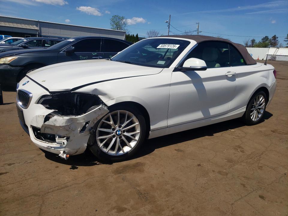 Aukcja sprzedaży 2016 Bmw 228, vin: WBA1K9C56GV710668, numer aukcji: 50879126