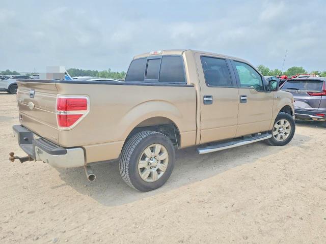 50674336 :رقم المزاد ، 1FTEW1CM5CKD29794 vin ، 2012 Ford F150 مزاد بيع