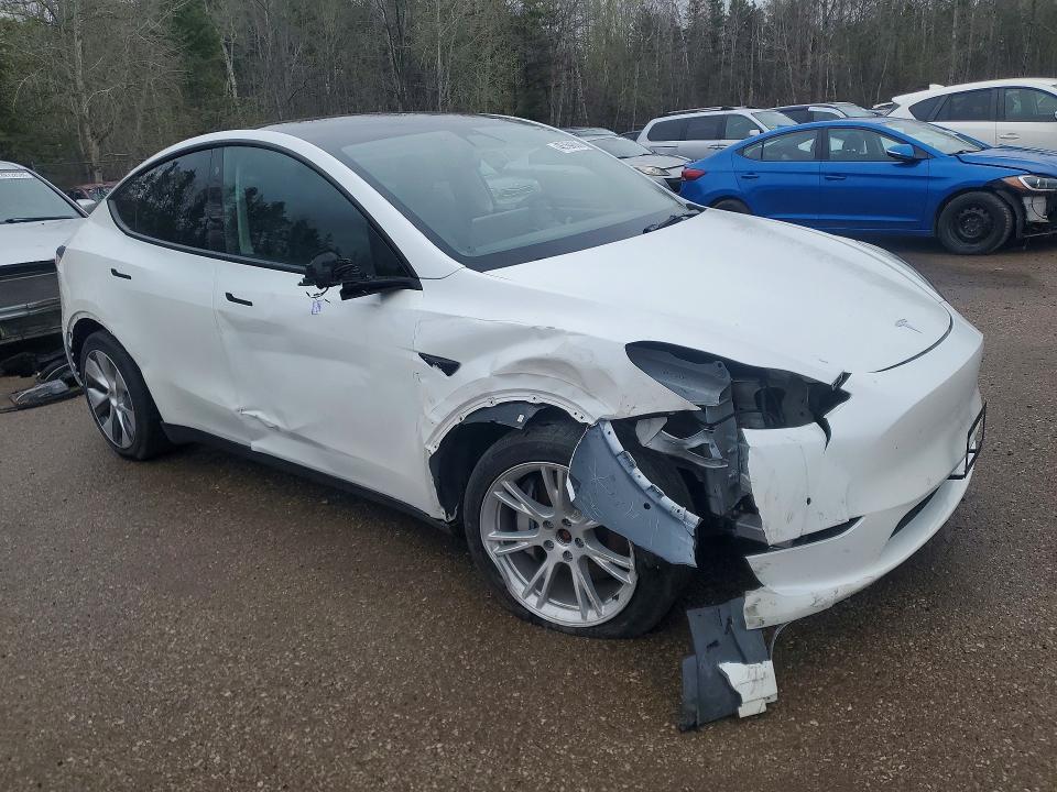 Продаж на аукціоні авто 2022 Tesla Model Y, vin: 7SAYGDEE0NF315483, номер лоту: 48764566