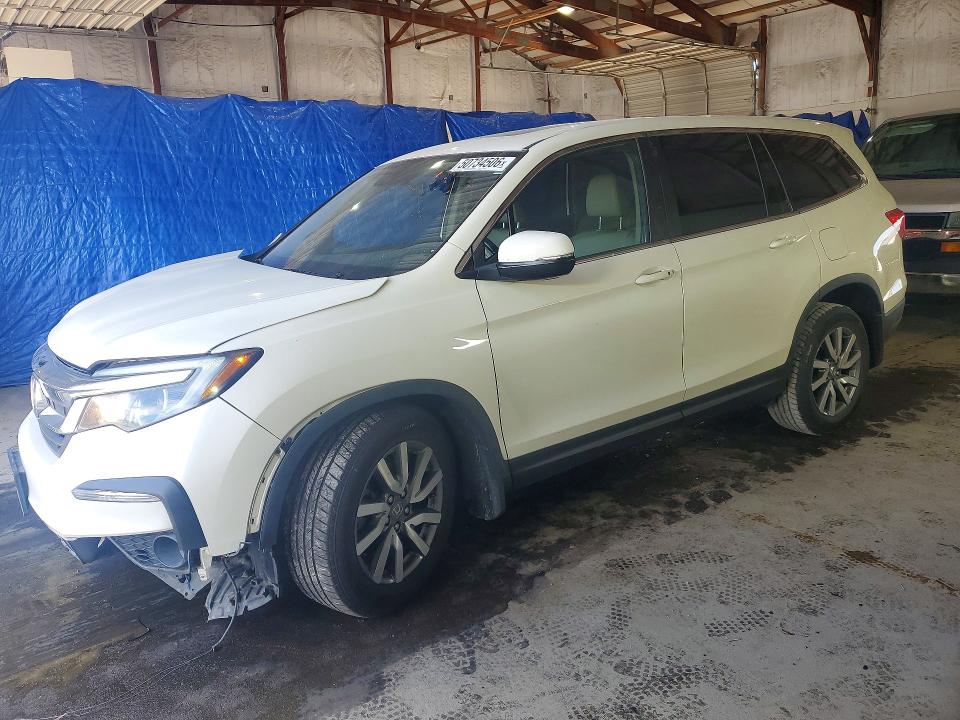 50734506 :رقم المزاد ، 5FNYF5H51KB012533 vin ، 2019 Honda Pilot مزاد بيع