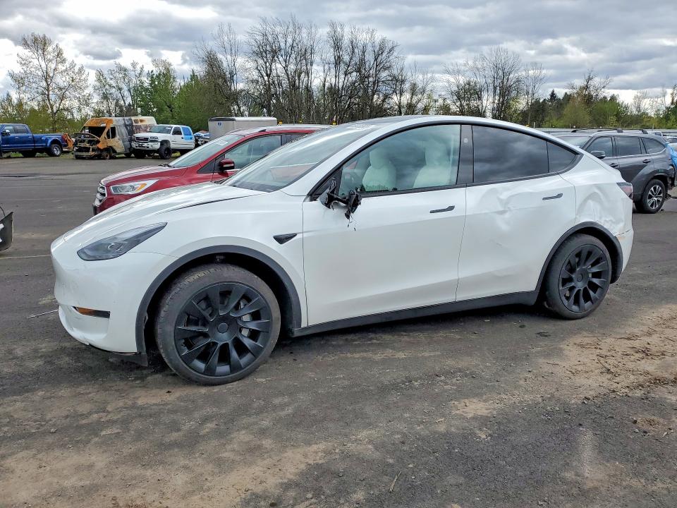 Продажа на аукционе авто 2025 Tesla Model Y, vin: 7SAYGDED0SF281595, номер лота: 50438926