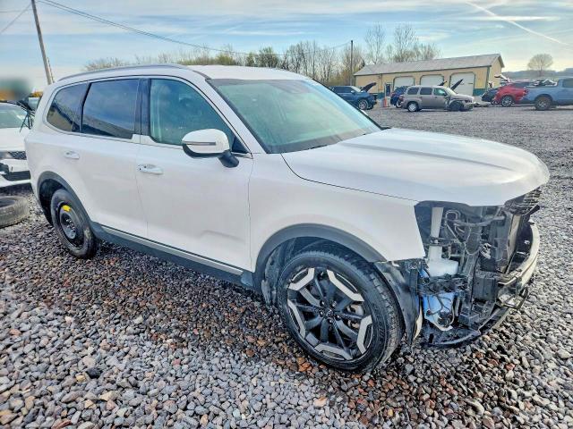 Aukcja sprzedaży 2023 Kia Telluride, vin: 5XYP6DGC4PG393946, numer aukcji: 48848316