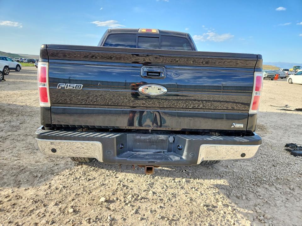 Продаж на аукціоні авто 2010 Ford F150, vin: 1FTFW1EV7AFD93982, номер лоту: 50173456