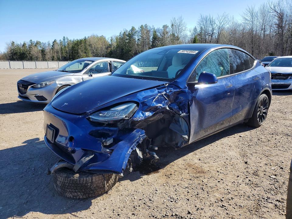 Продажа на аукционе авто 2022 Tesla Model Y, vin: 7SAYGAEE2NF429192, номер лота: 50742066