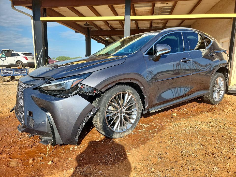 49766836 :رقم المزاد ، 2T2GKCEZ7NC008476 vin ، 2022 Lexus Nx مزاد بيع