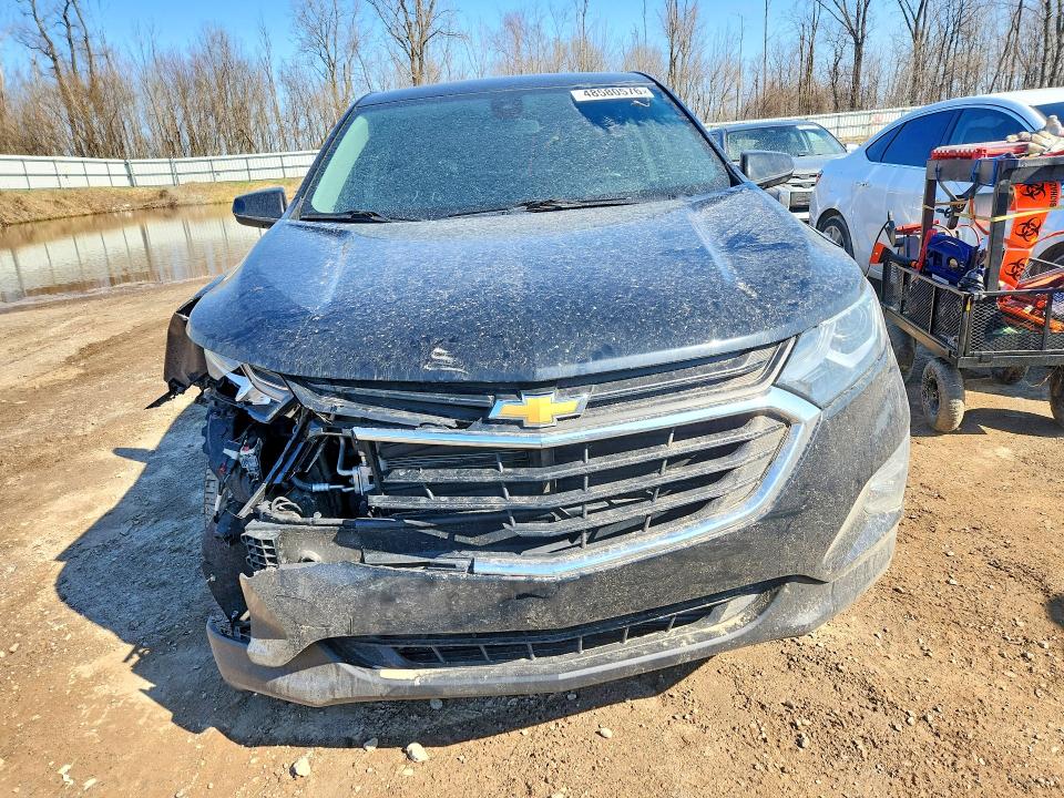 Auction sale of the 2020 Chevrolet Equinox, vin: 2GNAXTEV7L6118023, lot number: 48580576