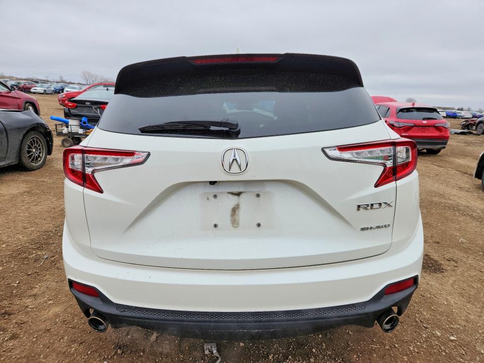 48241886 :رقم المزاد ، 5J8TC2H38KL043163 vin ، 2019 Acura Rdx مزاد بيع