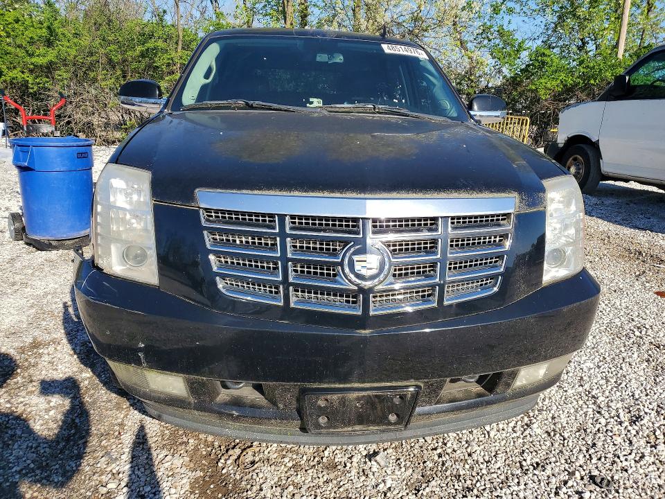Продажа на аукционе авто 2010 Cadillac Escalade, vin: 1GYUKEEJXAR211403, номер лота: 48514976
