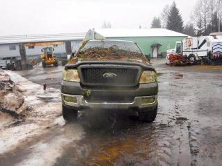 Продаж на аукціоні авто 2004 Ford F150, vin: 1FTPX14554NA28570, номер лоту: 78515635