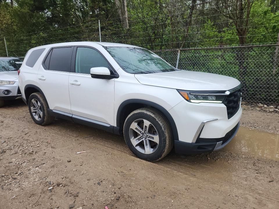 Aukcja sprzedaży 2024 Honda Pilot, vin: 5FNYG1H56RB011233, numer aukcji: 51637476