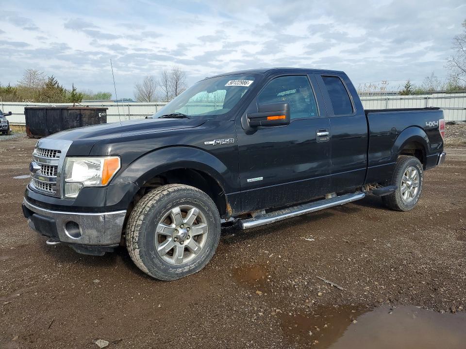 Продажа на аукционе авто 2013 Ford F150, vin: 1FTFX1ET6DFD99868, номер лота: 50122986