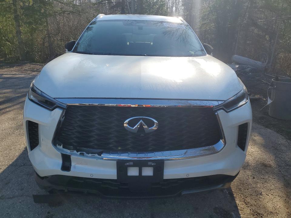 Auction sale of the 2025 Infiniti Qx60, vin: 5N1AL1GSXSC336390, lot number: 50432286