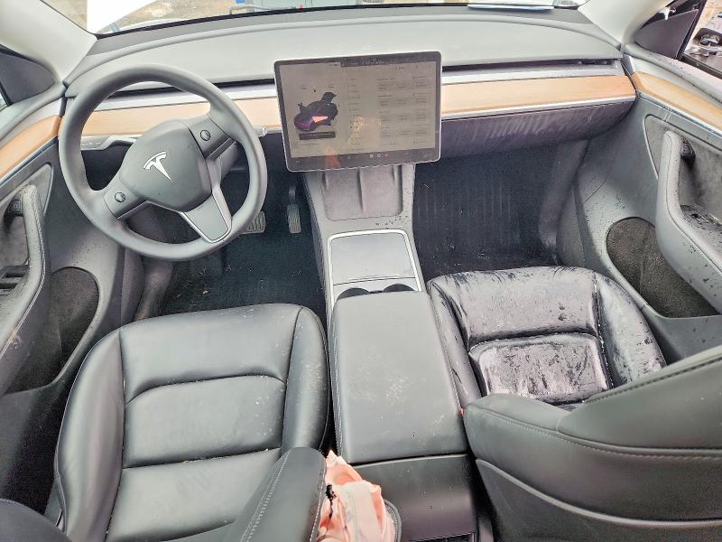 Продаж на аукціоні авто 2024 Tesla Model Y, vin: 7SAYGDEE4RF190459, номер лоту: 49838876