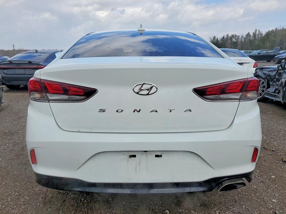 49550376 :رقم المزاد ، 5NPE34AF2KH760167 vin ، 2019 Hyundai Sonata مزاد بيع