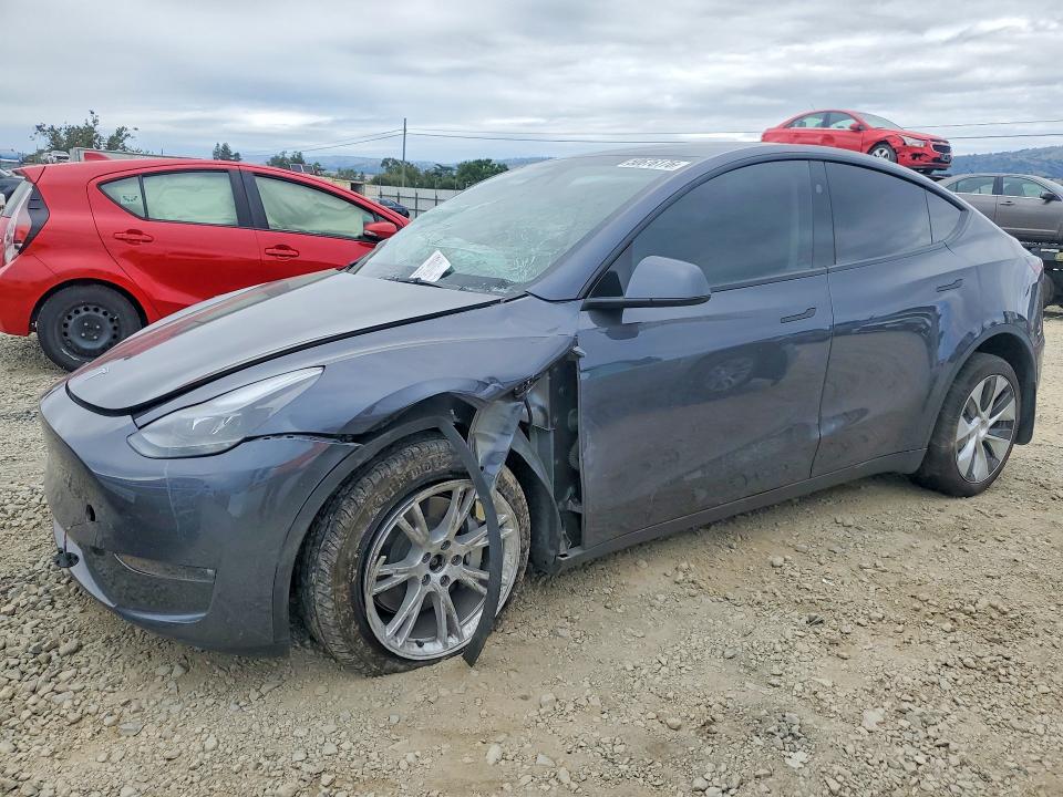 Продаж на аукціоні авто 2023 Tesla Model Y, vin: 7SAYGDEE2PF816474, номер лоту: 50676176